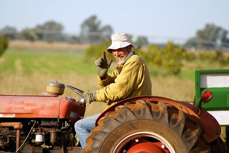 Family Farms at Risk