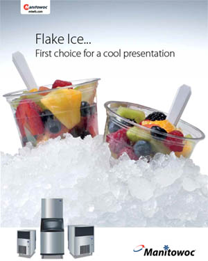 Manitowoc Flake Ice Machines