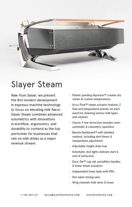 Slayer Steam Flyer