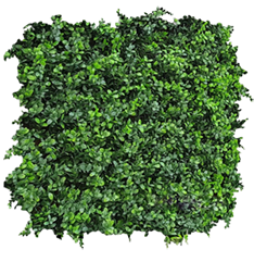 LUSH Greenery - Green Walls - Hedge Hog