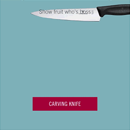 Victorinox - Carving Knife Victorinox - Carving Knife