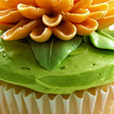 Introduction to Cake Decorating