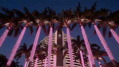 https://www.hospitalitydirectory.com.au/images/industry_news_images/2024/9_September/Star.gif