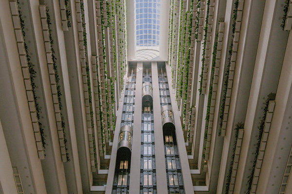 https://www.hospitalitydirectory.com.au/images/industry_news_images/2025/7_July/Intercon.gif