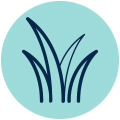 https://www.hospitalitydirectory.com.au/images/product_images/Anchor-Food-Professionals/2025/Product-Profiles/Cream/NZ.gif